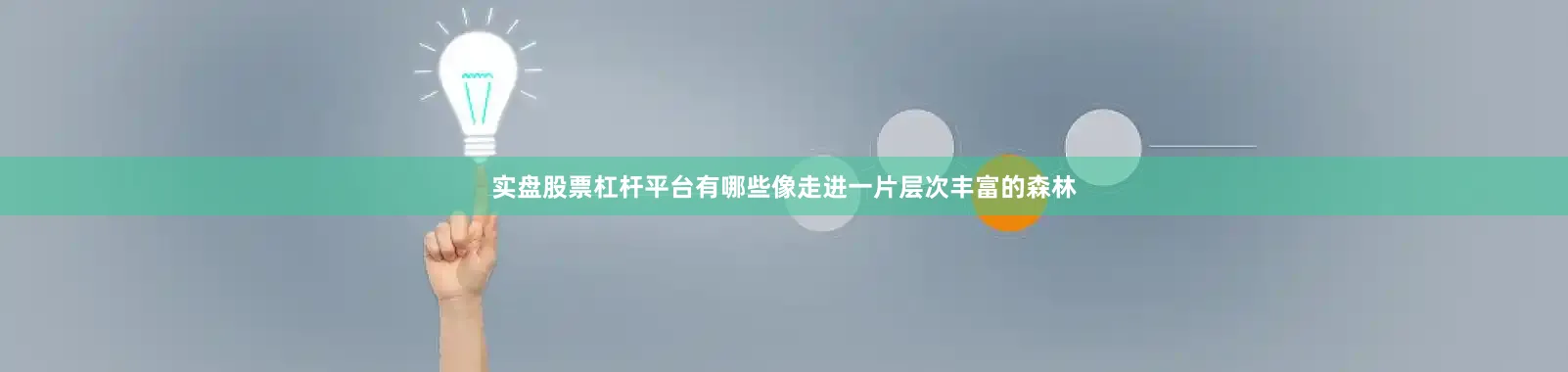 实盘股票杠杆平台有哪些像走进一片层次丰富的森林