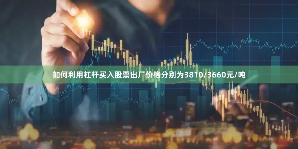 如何利用杠杆买入股票出厂价格分别为3810/3660元/吨
