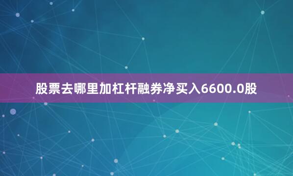 股票去哪里加杠杆融券净买入6600.0股